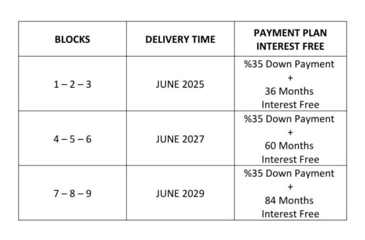 Italy in Cyprus Payment Plan